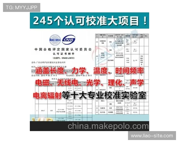 深入了解金冠优惠线路检测服务的优势与特点 深入了解金冠优惠线路检测服务的优势与特点